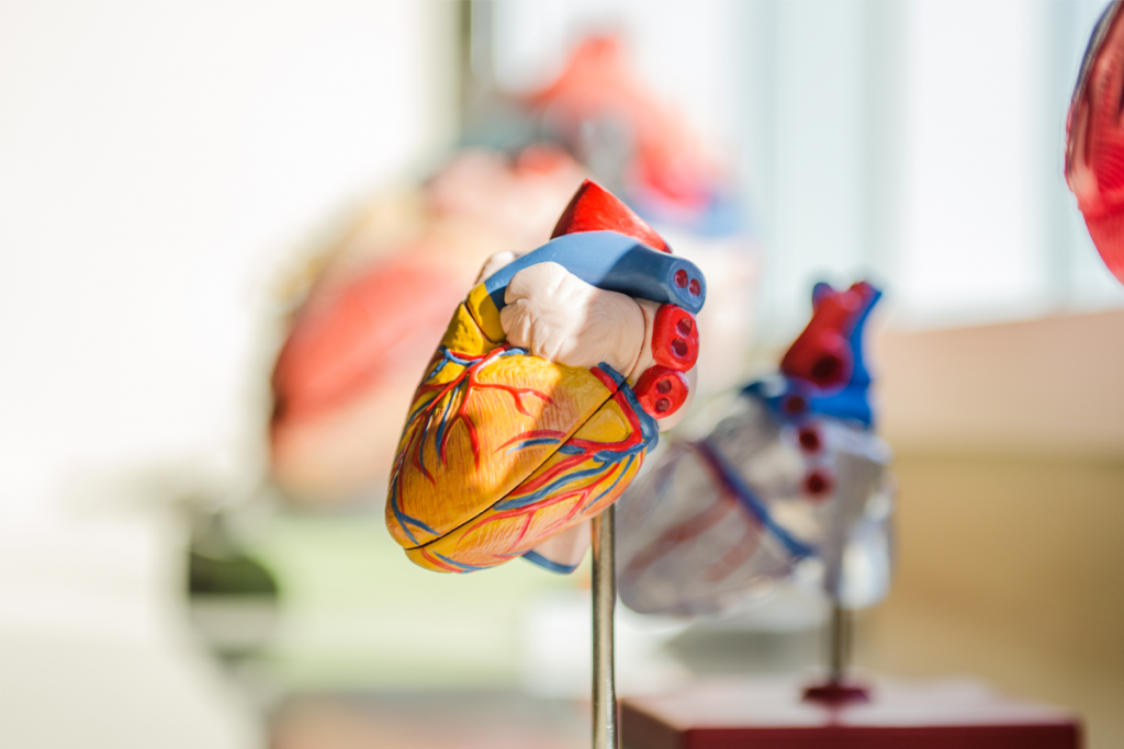 5 Reasons a Healthy Person May Need to See a Cardiologist